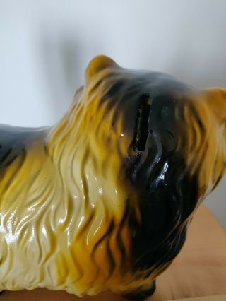 Vintage Chalkware Bank Statue,  Yellow&Black Chubby Persian Cat,  Carnival Prize 6