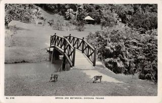 Penang,  Malaysia,  Botanical Gardens,  Real Photo Pc With Censor Cancel 1940