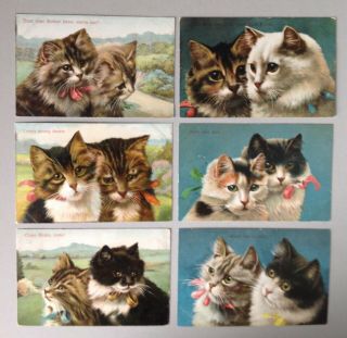 Vintage Cat Postcards - Birn Brothers Series E 42 - Set Of 6 - Portraits In Pairs