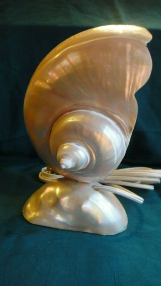 Vintage Art Nouveau Nautilus Sea Shell Table Lamp Nightlight - Fully Restored