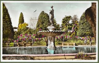 San Anton Gardens,  Malta.  Fine Coloured Real Photo Postcard In Top.