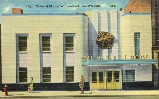 Linen Postcard; Art Deco Bldg.  Loyal Order Of Moose,  Williamsport Pa Fraternal