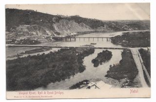 Umgeni River Rail & Road Bridges,  Natal Posted 1906 Undivided Back Postcard 734h