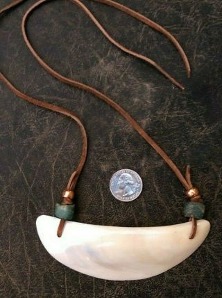 5 " Large Gorget Shell Necklace Antique Kano Trade Beads Native American Regalia
