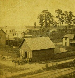 1880s Rare Early View Of Orlando Florida Stereoview By Mangold & Son
