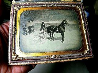 Great 1/4 Plate - Ambrotype,  Sulky Horse Racing