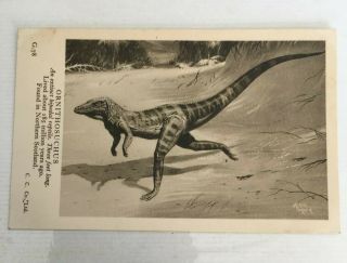 Ornithosuchus Dinosaur Postcard,  British Museum Natural History Neave Parker