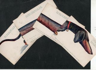 H522 Postcard Huld Puzzle 1906 Dachshund Dog Four Cards Rare