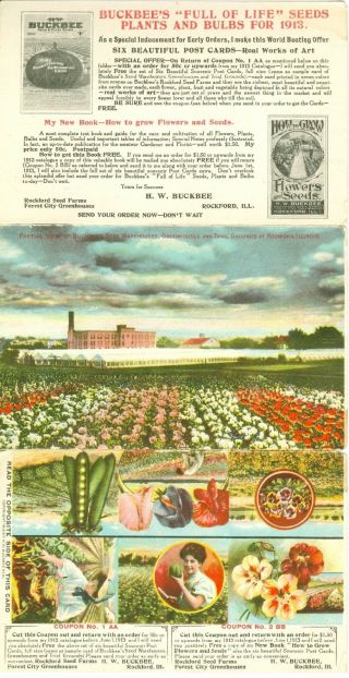 Rockford,  Il H.  W.  Buckbee Seeds,  Plants And Bulbs,  Three Piece Card