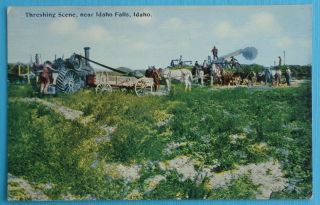 Threshing Scene Near Idaho Falls,  Idaho Tractor Farming Postcard
