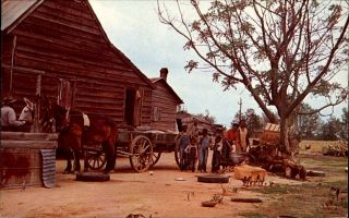 Black Americana Family Horses Wagon Way Down South In Dixie Georgia? 1960s