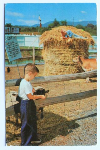 29c Postcard Scene In Little Boy Blue,  Storytown,  Lake George,  N.  Y. ,  1963