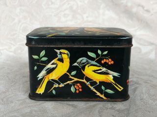 Vintage Candy Tin Small Horner Tin Decorative Birds Cardinals Orioles Gold Finch