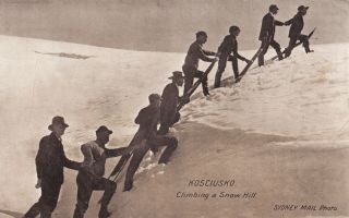 Vintage Postcard Nsw Government Print Kosciusko Series 1900s