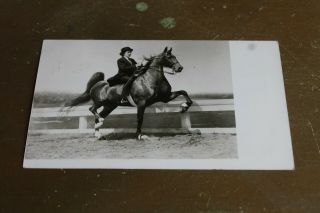 Old 1955 Horse Racing Prancing Photo Lady Mcclasky Of Waukegan Il Rppc Postcard
