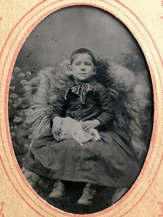 Omg How Rare Is This Hare? 1/6 Plate Tintype - Boy Holding A Bunny Rabbit In Lap