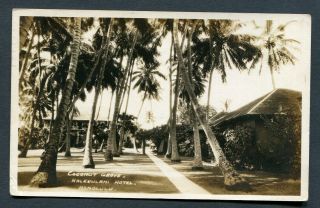 Hawaii,  Coconut Grove - Halekulani Hotel,  Sr 