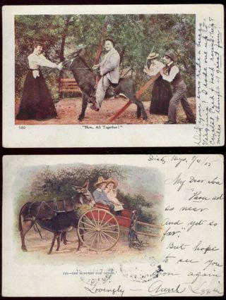 1905 & 1910 2 Old Deeply Embossed Donkey Postcards With Great Colors Pc412