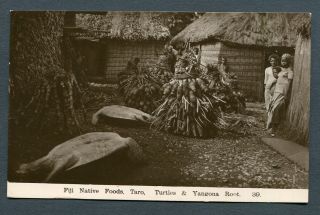 Fiji,  Native Foods,  Taro,  Turtles & Yangona Root,  Un,  Caine Rp No.  39