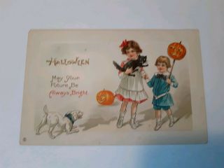 Stecher Halloween Postcard Children Pumpkins Black Cat And Dog