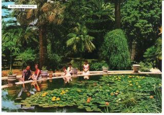 Attard,  Malta - St.  Anton Garden - Postcard By Abc Library,  C.  1970s