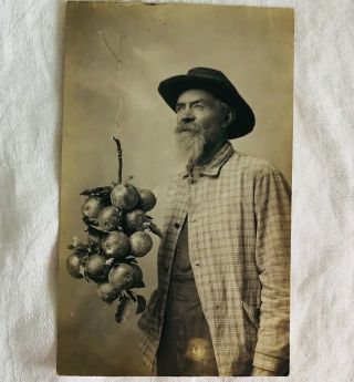 Antique Rppc Real Photo Postcard - Farmer Posing With Cluster Of Apples