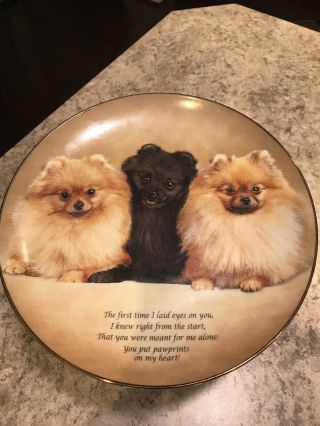 Danbury Pomeranian Dog Collector Plate F1799