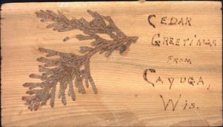 Cedar Greetings From Cayuga Wisconsin - Wood Wooden Postcard 1939 Psmk