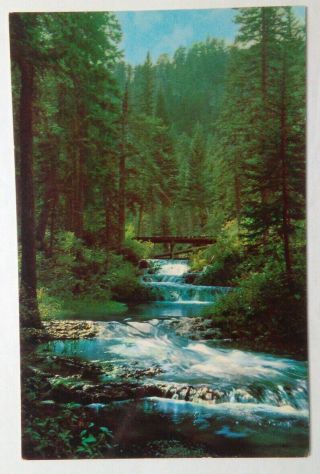 Vintage South Dakota Postcard Water Falls Spearfish Canyon Black Hills Sd Trout