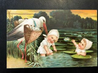 Antique Greetings Postcard 1907 - 20 Babies And Storks In A Marsh Embossed (21311)