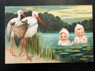 Antique Greetings Postcard 1907 - 20 Babies And Storks In A Marsh Embossed (21312)