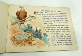 THE STORY OF THE EAGLE LOUISIANA PURCHASE 1904 ST.  LOUIS WORLD ' S FAIR BOOKLET 2