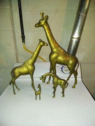 Set Of 4 Vintage Brass Giraffe Family Figurines Safari Animal 23 " 17 " 7.  5 " 5 "