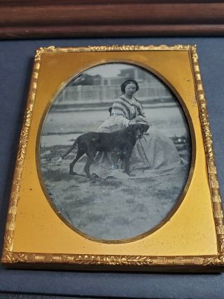 Antique Ambrotype Tinted Photograph W/ Gold Frame Women & Dog