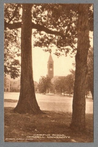 Ithaca,  York 1917 Vintage Picture Postcard - Campus Scene Cornell University