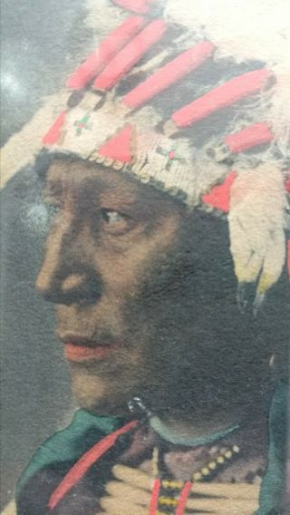 Frank A Rinehart - Chief Hollow Horn Bear Sioux Native American Photograph 1898 2