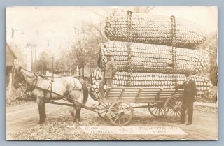 Trenton Mo Corn Carnival Exaggerated 1908 Antique Real Photo Postcard Rppc