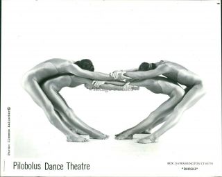 1984 Press Photo Actress Pilobolus Dance Theater Shapes Clemens Kalischer 8x10