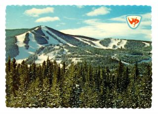 Winter Park Ski Area Colorado Postcard Panorama Mountain Snow Trees Unposted