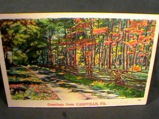 Greetings From Pa P.  C: Autumn Scene In Forest,  Cassville,  Pa 1950