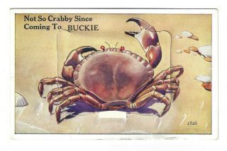 Buckie Scotland Not So Crabby Foldout Popout Novelty Postcard