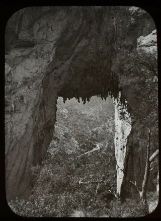 Antique Magic Lantern Slide Jenolan Caves Carlotta Arch C1890 Photo Australia