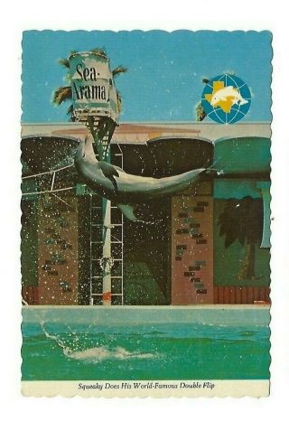 Vntg Post Card Sea Arama Galveston Tx Squeaky Double Flip Dolphin Porpoise
