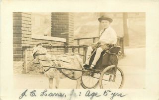 Boy In 2 Wheel Goat Cart Real Photo Postcard.  Boy Identified As Jc Lane Jr.