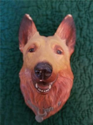Bossons Head Altisian Dog Chalkware Wall Plaque