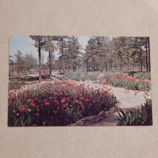 Vintage Postcard Noccalula Falls Park,  Gasden,  Alabama