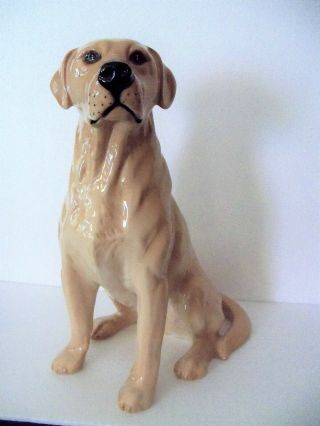 Royal Doulton Dog Large Fireside Golden Labrador Seated Da86 13 1/2 Inches