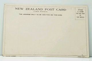 Postcard BRITISH ANTARCTIC EXPEDITION 1901 - 04 ' Seals on The Floe ' F4 2