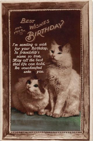 E9/ Interesting Real Photo Rppc Postcard C1910 Cats Animals Birthday Wishes