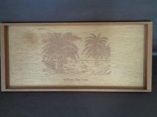 Unique " California Date Palms " Vintage Wooden Serving Tray (a3007)